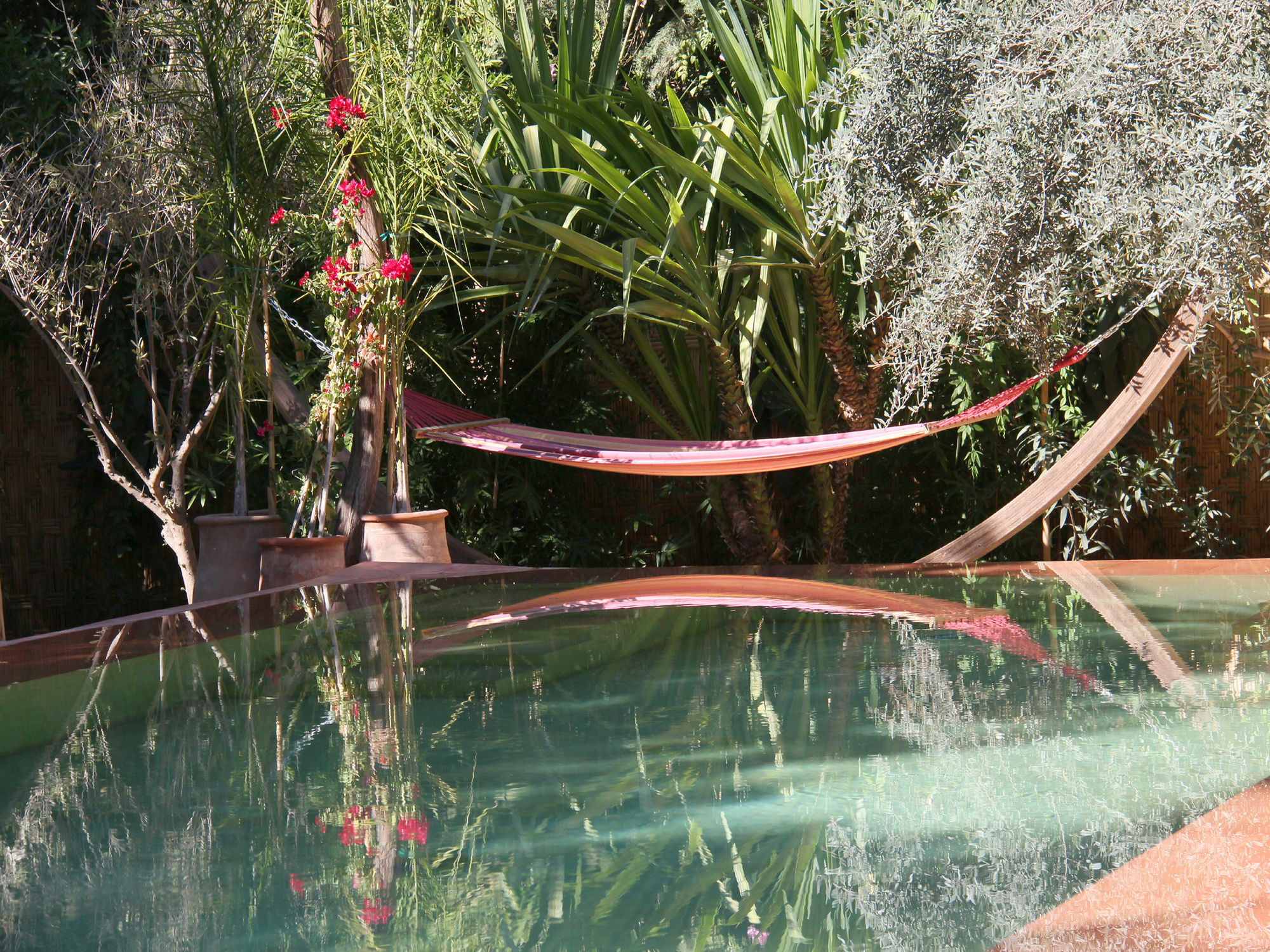 Le Jardin Touagana - Campement & Lodge Touggana Kültér fotó