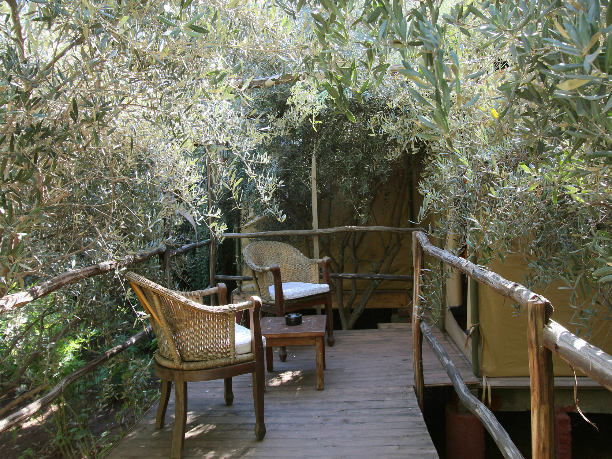 Le Jardin Touagana - Campement & Lodge Touggana Kültér fotó
